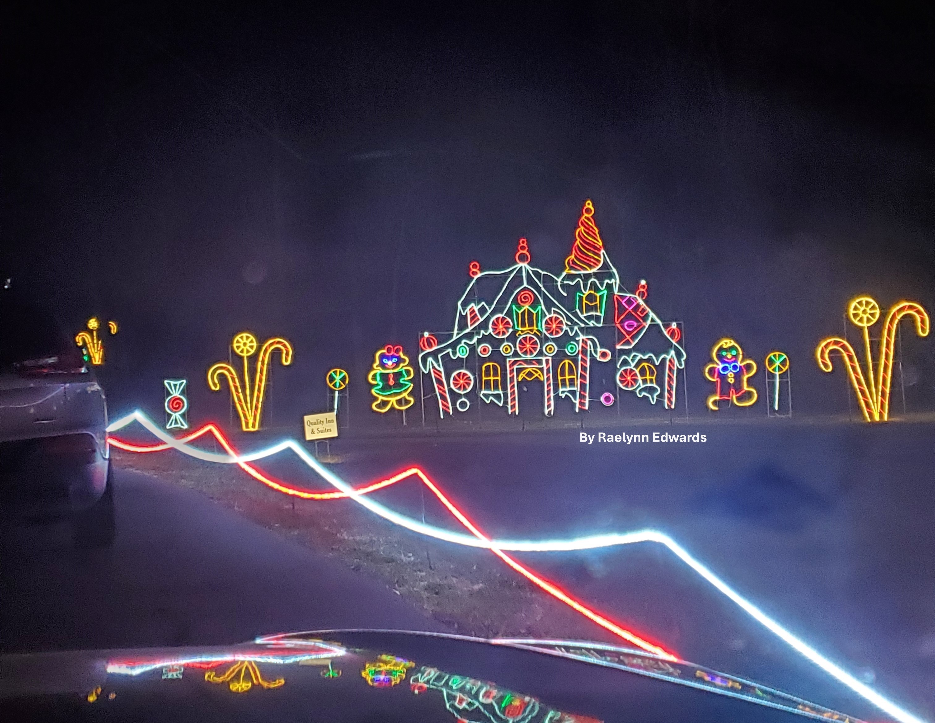 Christmas lights - 2moorman park 2 - Raelynn Edwards.jpg