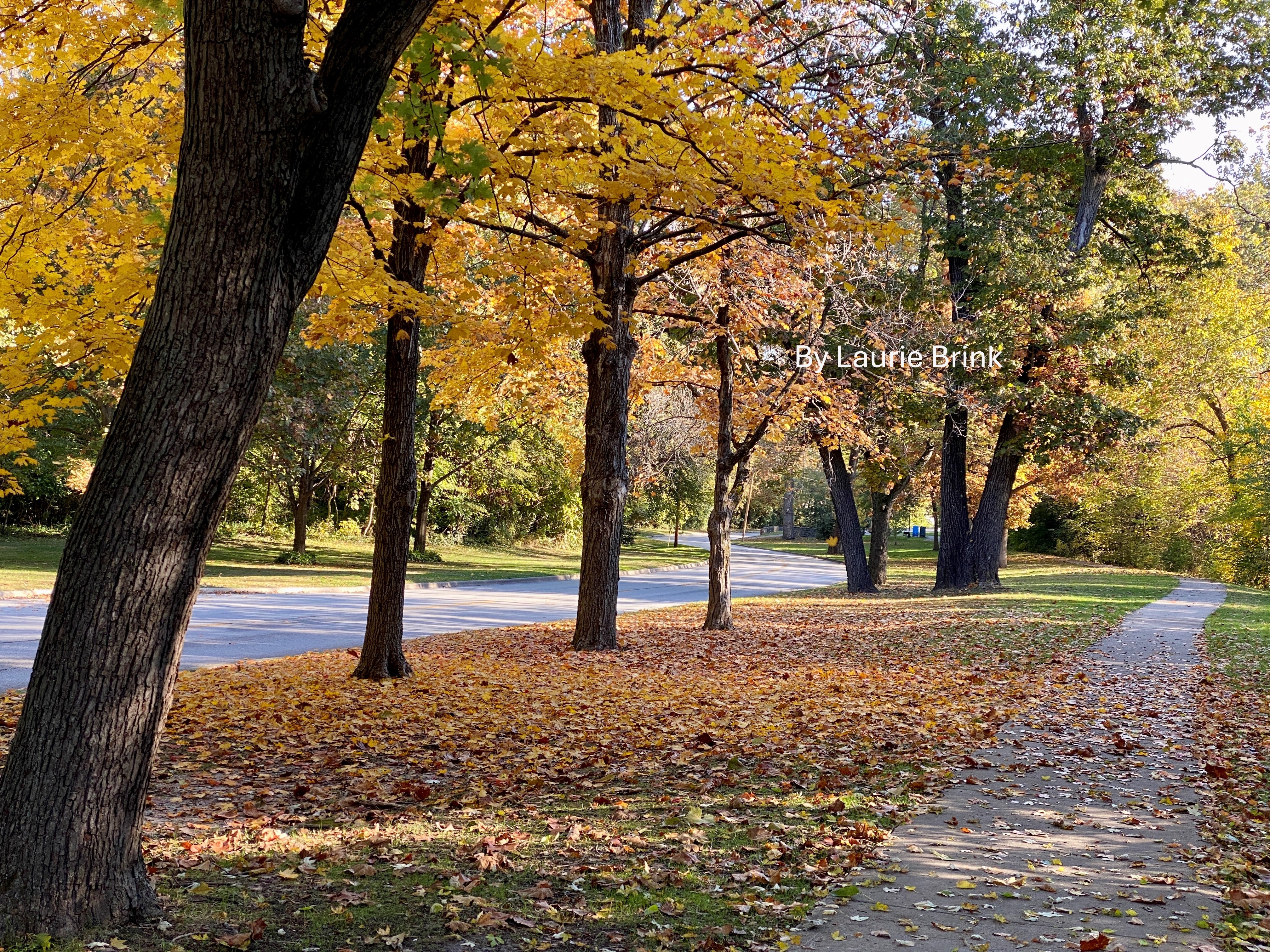 South Park - autumn 5.JPG