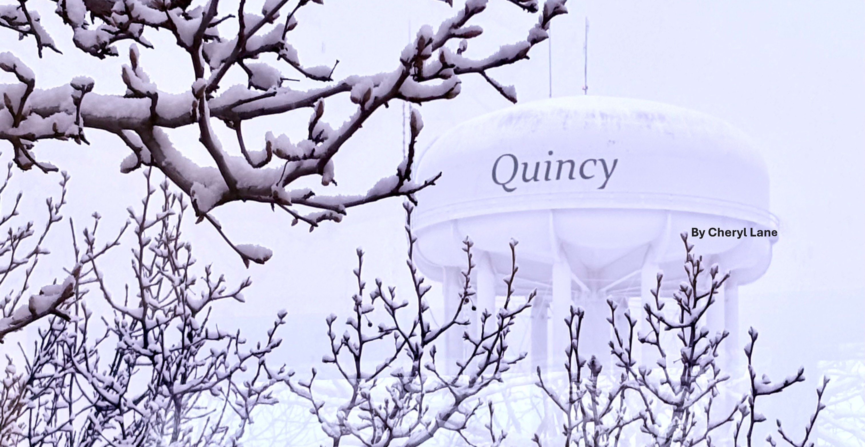 Water tower - winter 3- Cheryl Lane.JPG